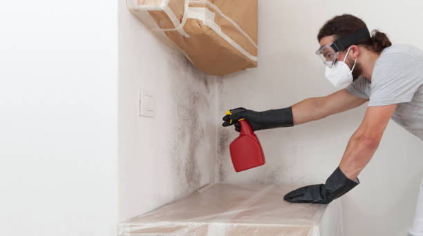 Professional Mold Cleanup technician working in Towson, MD