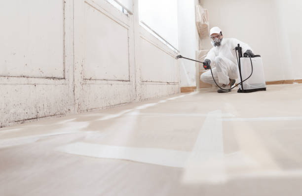 24/7 Emergency Mold Cleanup experts in Towson, MD