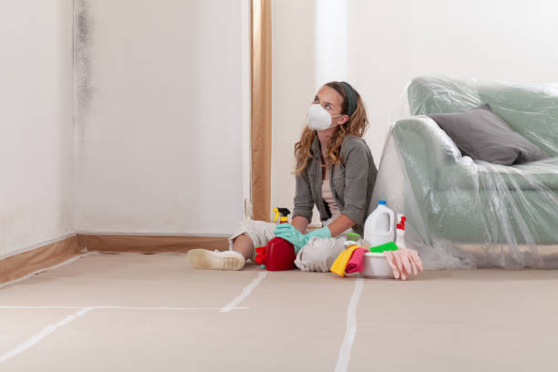 Reliable Mold Cleanup contractor in Towson, MD by WQB Mold Removal
